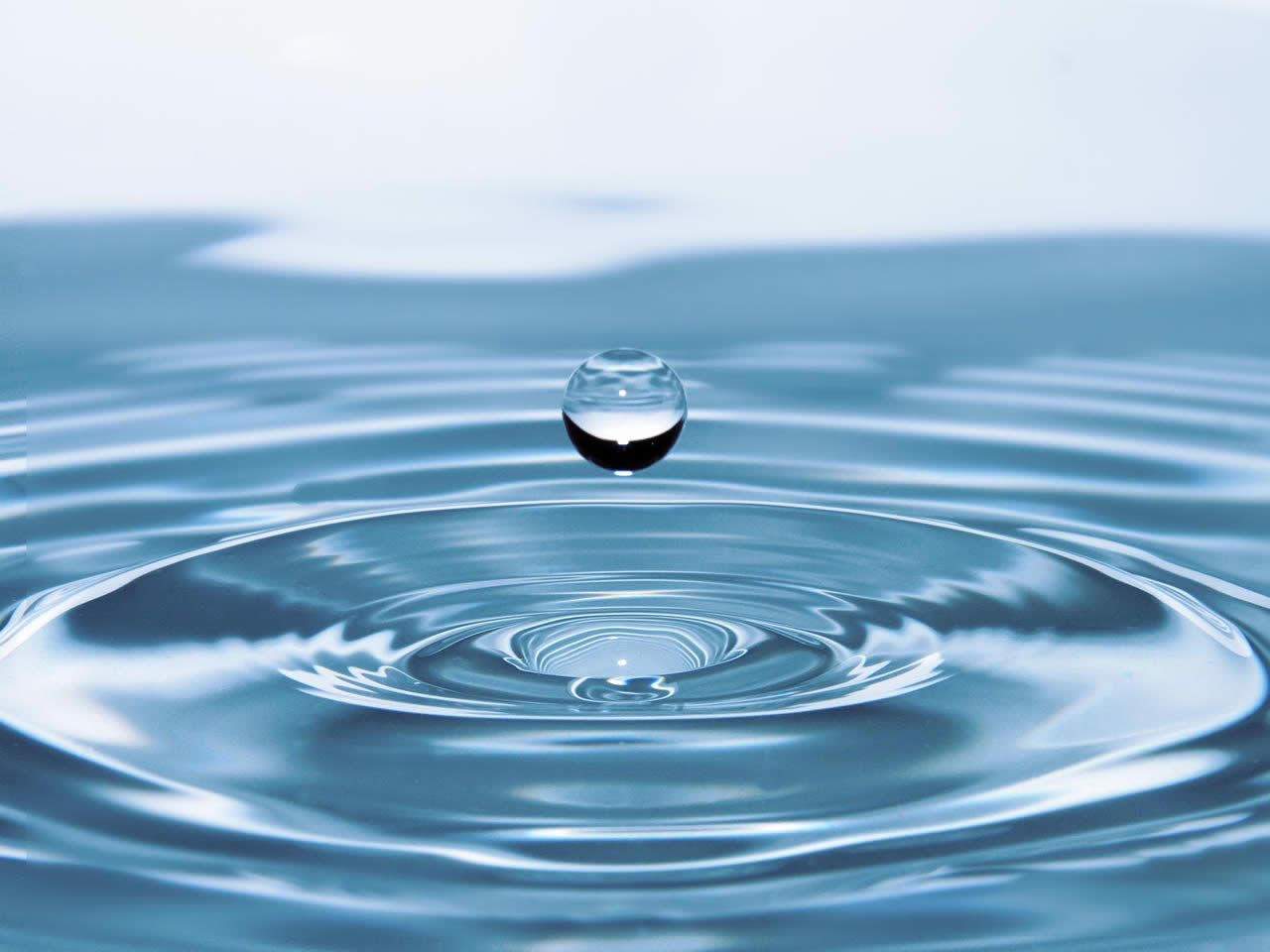 Méthode de Purification de l'Eau