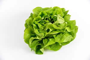 Conserver la Salade fraîche dans le réfrigérateur